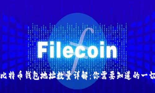 比特币钱包地址数量详解：你需要知道的一切