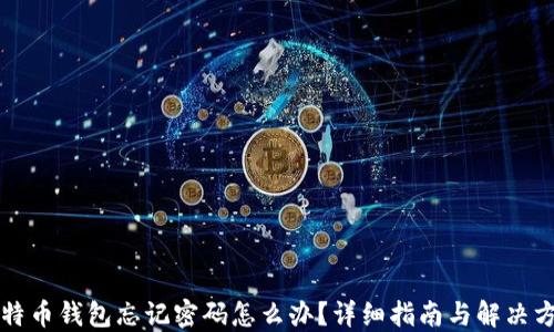 
比特币钱包忘记密码怎么办？详细指南与解决方案