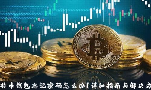 
比特币钱包忘记密码怎么办？详细指南与解决方案