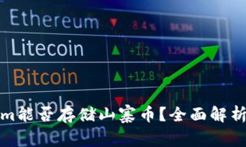 Tokenim能否存储山寨币？全面解析与指南
