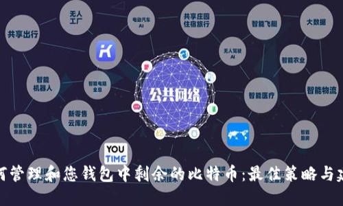 如何管理和您钱包中剩余的比特币：最佳策略与建议