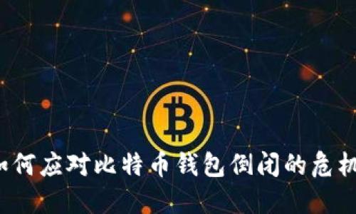 如何应对比特币钱包倒闭的危机？