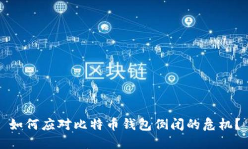 如何应对比特币钱包倒闭的危机？