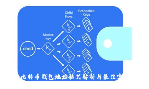 比特币钱包地址格式解析与最佳实践