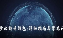 如何同步比特币钱包：详细指南与常见问题解答