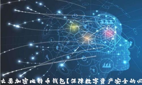 
为什么要加密比特币钱包？保障数字资产安全的必要性