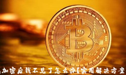
比特币钱包加密后钱不见了怎么办？实用解决方案与预防措施