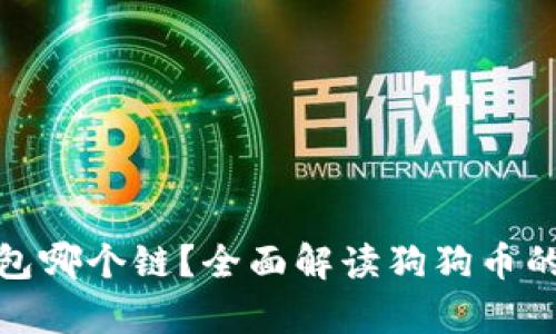 狗狗币存钱包哪个链？全面解读狗狗币的存储与转账