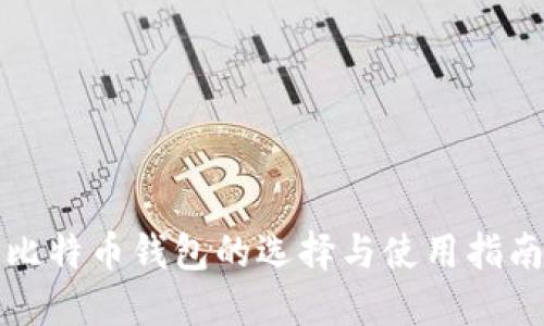 比特币钱包的选择与使用指南