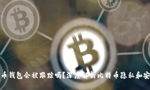 比特币钱包会被跟踪吗？深度解析比特币隐私和安全性
