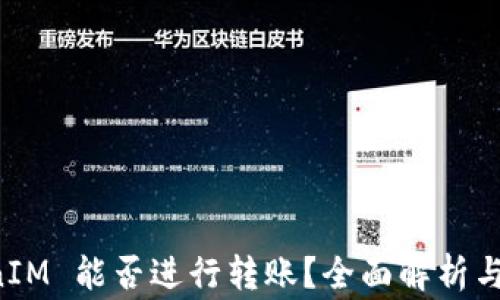 
不升级 TokenIM 能否进行转账？全面解析与常见问题解答