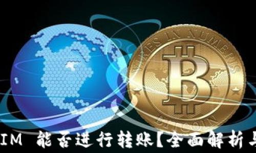 
不升级 TokenIM 能否进行转账？全面解析与常见问题解答