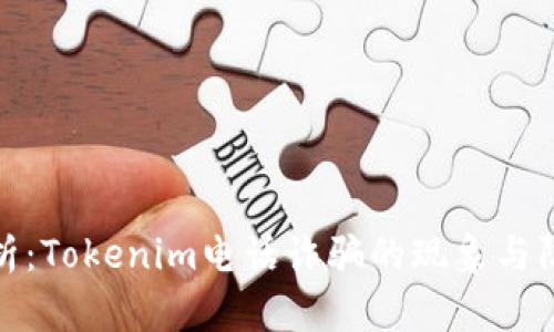 深入解析：Tokenim电话诈骗的现象与防范措施
