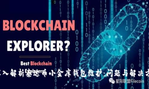  深入解析泰达币小金库钱包维护：问题与解决方案
