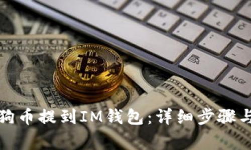 如何将狗狗币提到IM钱包：详细步骤与注意事项