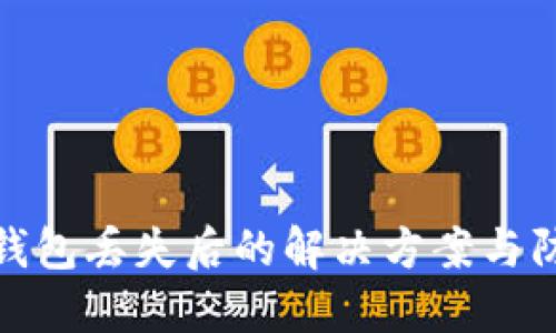 瑞波币钱包丢失后的解决方案与防护措施