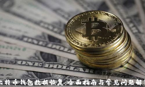 
比特币钱包数据恢复：全面指南与常见问题解答