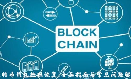 
比特币钱包数据恢复：全面指南与常见问题解答