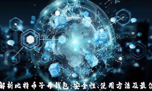 
全面解析比特币子母钱包：安全性、使用方法及最佳实践