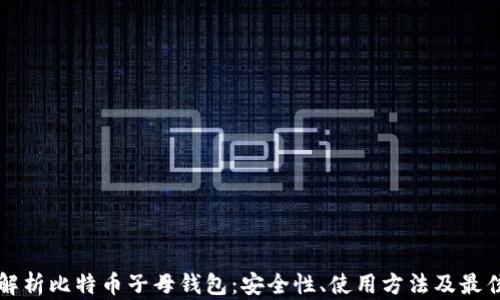 
全面解析比特币子母钱包：安全性、使用方法及最佳实践