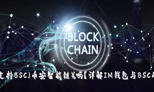 IM钱包支持BSC（币安智能链）吗？详解IM钱包与BSC的兼容性