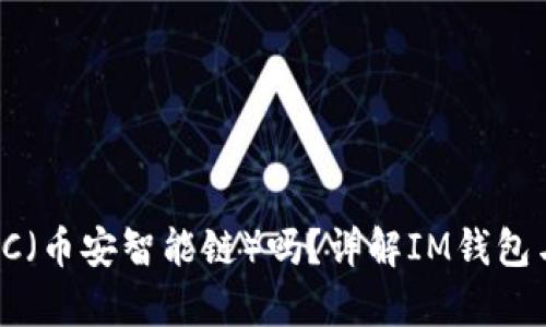IM钱包支持BSC（币安智能链）吗？详解IM钱包与BSC的兼容性