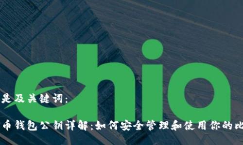 以下是及关键词：

比特币钱包公钥详解：如何安全管理和使用你的比特币