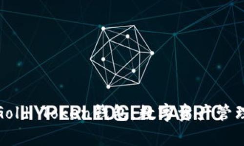 全面解析Gold Token钱包：数字资产管理的新选择