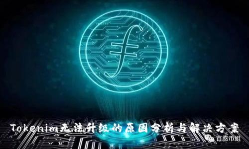 Tokenim无法升级的原因分析与解决方案