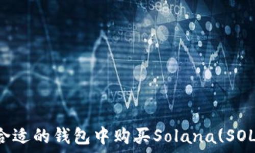   
如何在合适的钱包中购买Solana(SOL)链代币