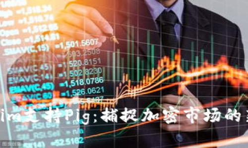Tokenim支持Pig：捕捉加密市场的新机遇
