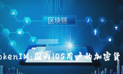 全面解析TokenIM：国内iOS用户的加密货币钱包选择