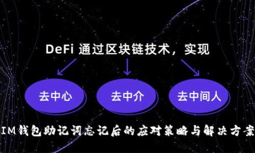 IM钱包助记词忘记后的应对策略与解决方案