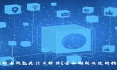 比特币钱包是什么软件？全面剖析及使用指南