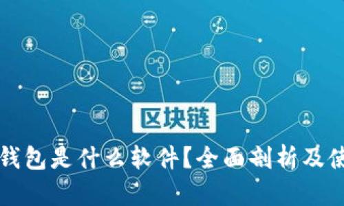 比特币钱包是什么软件？全面剖析及使用指南