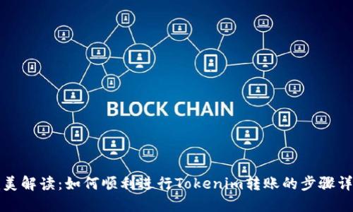 完美解读：如何顺利进行Tokenim转账的步骤详解