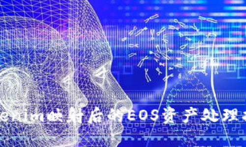 Tokenim映射后的EOS资产处理指南