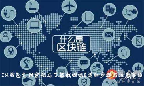 IM钱包支付密码忘了能找回吗？详细步骤与注意事项