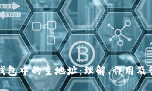比特币钱包中的主地址：理解、作用及管理策略