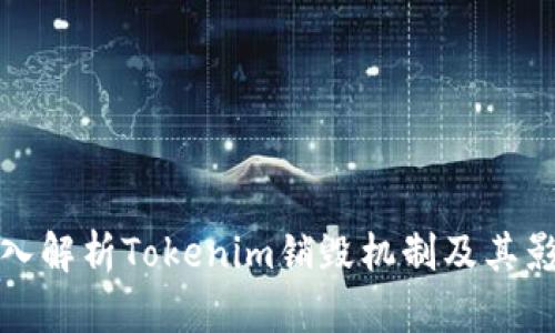 深入解析Tokenim销毁机制及其影响