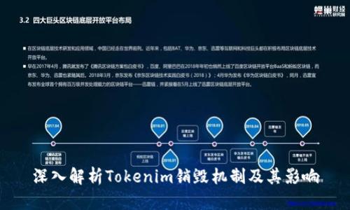 深入解析Tokenim销毁机制及其影响