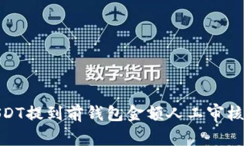 : USDT提到前钱包金额人工审核详解
