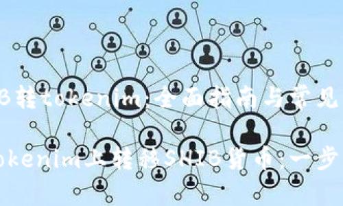 货币SHIB转tokenim：全面指南与常见问题解答

如何在Tokenim上转移SHIB货币：一步步指南