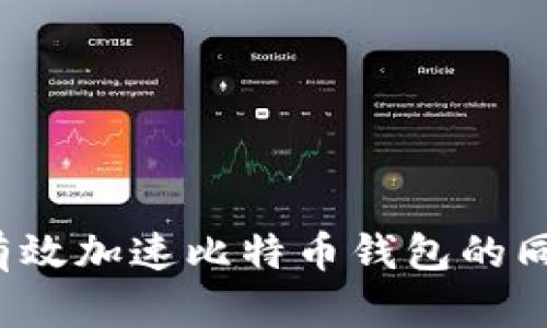  如何有效加速比特币钱包的同步过程