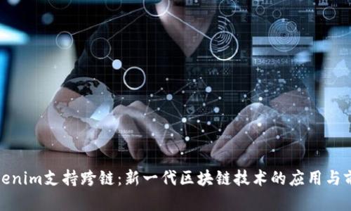 Tokenim支持跨链：新一代区块链技术的应用与前景