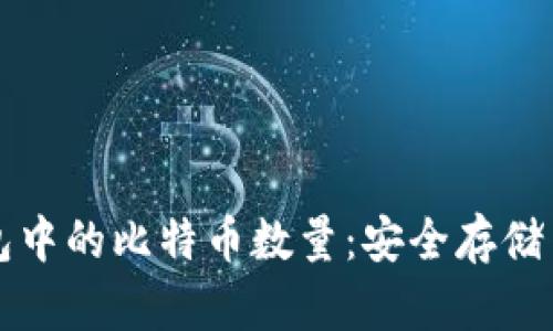 货币冷钱包中的比特币数量：安全存储与管理策略
