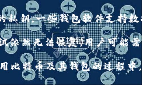 比特币自2009年问世以来，确实有相应的钱包软件可以使用。比特币钱包是用户用来接收、存储和发送比特币的一种软件或硬件。具体而言，2009年比特币的创始人中本聪发布了第一个比特币客户端（Bitcoin Core），这个客户端不仅是比特币网络的初始实现，同时也包含了比特币钱包的功能。

以下是对比特币钱包在2009年及其重要性的详细探讨，大纲如下：

一、比特币钱包的基础知识

比特币钱包可以分为热钱包和冷钱包。热钱包通常是连接到互联网的，方便用户随时进行交易；而冷钱包是离线的，储存比特币的安全性相对更高。随着比特币的流行和发展，钱包的种类也逐渐增多，包括移动钱包、桌面钱包、纸钱包和硬件钱包等，每种钱包都有其特定的使用情境和优缺点。

二、2009年比特币钱包的特点

在比特币的早期阶段，用户使用的是较为简单的桌面钱包。当时的比特币钱包功能相对基础，但足够支持用户进行比特币的基本交易。用户需要下载138MB的比特币核心客户端，其中包含了完整的区块链数据，用户的私钥和公钥也存储在这个软件中。

2009年，比特币的交易量非常小，很多用户甚至可以轻松地通过计算机挖矿获得比特币，这使得钱包的安全性和功能需求相对较低。而且，在 Bitcoin Core 的开发初期，用户社区尚未形成全面的安全意识，钱包保护及备份措施并不被广泛关注。

三、比特币钱包在比特币生态中的作用

比特币钱包是用户体验中的重要组成部分，承担着交易和存储价值的重要功能。它让用户能够方便地管理自己的比特币资产，并随时随地发送或接收比特币。而随着比特币的普及，越来越多的商家和个人开始接受比特币支付，这也加速了钱包的多样化和用户体验的改善。

四、如何选择和使用比特币钱包

为了选择合适的比特币钱包，用户需要考虑几个因素，例如安全性、便利性、交易费用和支持的币种等。在选择钱包时，用户必须优先考虑私钥的管理方式。此外，保持钱包软件的更新，使用强密码和双重认证都是保障钱包安全的重要措施。

五、总结与展望

虽然2009年比特币钱包的功能比较基础，但却为后来的发展奠定了基础。随着比特币市场的成熟，各类钱包的功能和安全性得到不断改善，用户对比特币的认知也在不断提升。未来，可以预见比特币钱包将在区块链技术的推动下，继续向更高效、更安全的方向发展。

### 相关问题

1. **比特币钱包的安全性如何保障？**
2. **如何选择合适的比特币钱包？**
3. **比特币钱包与其他加密货币钱包的区别是什么？**
4. **如何恢复丢失的比特币钱包？**

#### 问题1：比特币钱包的安全性如何保障？

比特币钱包的安全性如何保障

在数字货币交易持续增长的今天，安全性显得尤为重要。比特币钱包的安全性主要依赖于用户的私钥管理、软件的安全性以及用户的操作习惯等多个方面。首先，私钥是用户控制比特币的唯一凭证，用户应该始终保持私钥的秘密，不与任何人分享。尽量使用硬件钱包等离线储存方式来存放私钥，可以极大地提升比特币的安全性。

其次，用户应该选择信誉好的钱包软件，并保持其更新。由于比特币及其相关技术的快速发展，不时会发布安全补丁和更新，这对于提高安全性至关重要。此外，用户在使用比特币钱包的时候，要遵从安全操作规范，比如启用双重认证、设置强密码等，以防止不必要的损失。

最后，定期备份钱包也是保证资产安全的一种重要手段。无论是使用热钱包还是冷钱包，保持定期备份可以在钱包丢失或损坏时，尽量减少资产损失。用户应保留好备份文件并妥善管理，确保这些信息在需要时可以安全访问。

#### 问题2：如何选择合适的比特币钱包？

如何选择合适的比特币钱包

选择合适的比特币钱包需要考虑多种因素，包括用户的需求、安全性、易用性与交易费用等。首先，用户需要评估自己的需求。如果只是进行少量交易，可以选择在线热钱包或移动钱包，它们便于快速交易。而对于长期投资和资产保护，建议使用冷钱包，如硬件钱包和纸钱包。

其次，安全性是选择比特币钱包最重要的考虑因素之一。选择知名品牌的钱包软件和产品，查看用户评价及其安全性。了解钱包的私钥管理方式，例如是否属性中心化，以及是否提供多重认证，都是选择钱包时需要仔细考虑的问题。

易用性也是选择钱包的重要标准。对于新手用户，选择操作简单且用户界面直观的钱包软件会更为合适。同时，有些钱包支持多种语言，可以帮助非英语用户更好地理解和使用。建议在选择之前可以先进行体验，看看钱包的自定义功能和个人喜好是否匹配。

最后，关注交易费用也是必不可少。不同钱包在转账时可能会收取不同的费用，了解这些费用可能帮助用户节省成本。在选择钱包时，可以多比较几款钱包的收费标准，以选择适合的产品。

#### 问题3：比特币钱包与其他加密货币钱包的区别是什么？

比特币钱包与其他加密货币钱包的区别是什么

比特币钱包与其他加密货币钱包之间的主要区别在于支持的币种、功能和技术特点等方面。比特币是第一种加密货币，因此比特币钱包主要用于存储和管理比特币资产，而其他加密货币钱包则可能支持一系列不同的数字货币。例如，以太坊钱包就是专门为以太坊和ERC20代币设计的，它们有一些特定的功能，如智能合约管理等。

从安全性上来看，不同钱包的安全设计可能有很大区别。比特币钱包的安全特性主要集中在比特币网络上，如 SHA-256 哈希算法，而其他加密货币则可能采用不同的共识机制和加密算法，因此用户应该了解其背景和特性。此外，许多同时支持比特币和其他加密货币的钱包，也会在钱包用户界面和操作习惯上存在差别。

此外，用户体验上也可能有所不同。比特币钱包的界面和功能比较成熟，而新近上线的加密货币钱包可能在设计上更加前卫，并引入了不少创新功能。然而，这些新功能可能需要用户花费一定的学习时间，因此新用户在选择时需要根据自己的需求来做出权衡。

#### 问题4：如何恢复丢失的比特币钱包？

如何恢复丢失的比特币钱包

丢失比特币钱包可能对用户造成巨大的经济损失，因此了解如何恢复钱包是非常重要的。首先，用户在开始使用比特币钱包时，应当备份私钥或助记词。常见的恢复方式是利用助记词在新的钱包软件中恢复。如果用户不小心删除了钱包软件或更换了设备，只需使用之前保存的助记词即可恢复资金。

若用户没有备份助记词，而是丢失了完整的比特币钱包文件，恢复的难度会大大增加。这时候可以尝试通过使用一些恢复软件来寻找钱包文件中包含的私钥。一些钱包软件支持数据恢复功能，但成功恢复的几率会因情况而异。为了防止这种情况发生，建议定期备份整个钱包，并存储在安全的地方。

无论何时，保持冷静，不要进行过于激进的操作，保持对资产保护的高度重视，让钱包安全管理成为日常的一部分，以降低未来丢失的风险。如果经过尝试依然无法恢复，用户可能需要寻求专业技术团队的帮助。他们可能会使用一些专业工具进行数据挖掘和恢复，但需要注意的是，这些手段往往伴随着不小的费用。

总结来说，2009年比特币的钱包为数字货币的诞生奠定了基础，伴随着技术的进步，钱包的发展方向也必然朝着更安全、更繁多的功能方向前进。在使用比特币及其钱包的过程中，用户需要保持警惕，了解各种相关知识，以保护自己的数字资产。