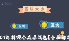 导出USDT选择哪个底层钱包？全面解析与推荐