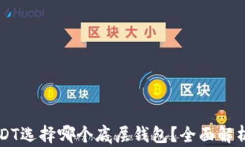 
导出USDT选择哪个底层钱包？全面解析与推荐