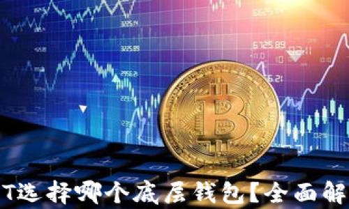 
导出USDT选择哪个底层钱包？全面解析与推荐
